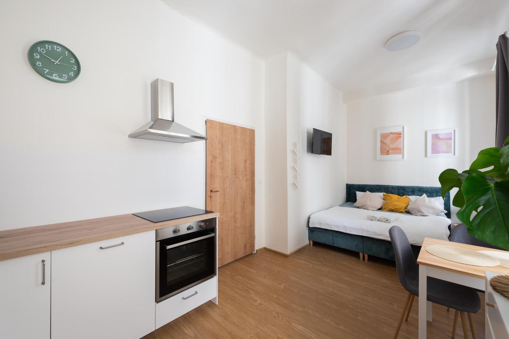 Apartment Tesnov Prag