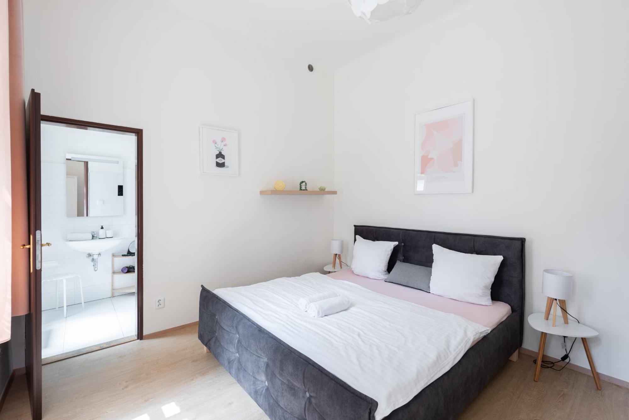 Apartment Tesnov Prag