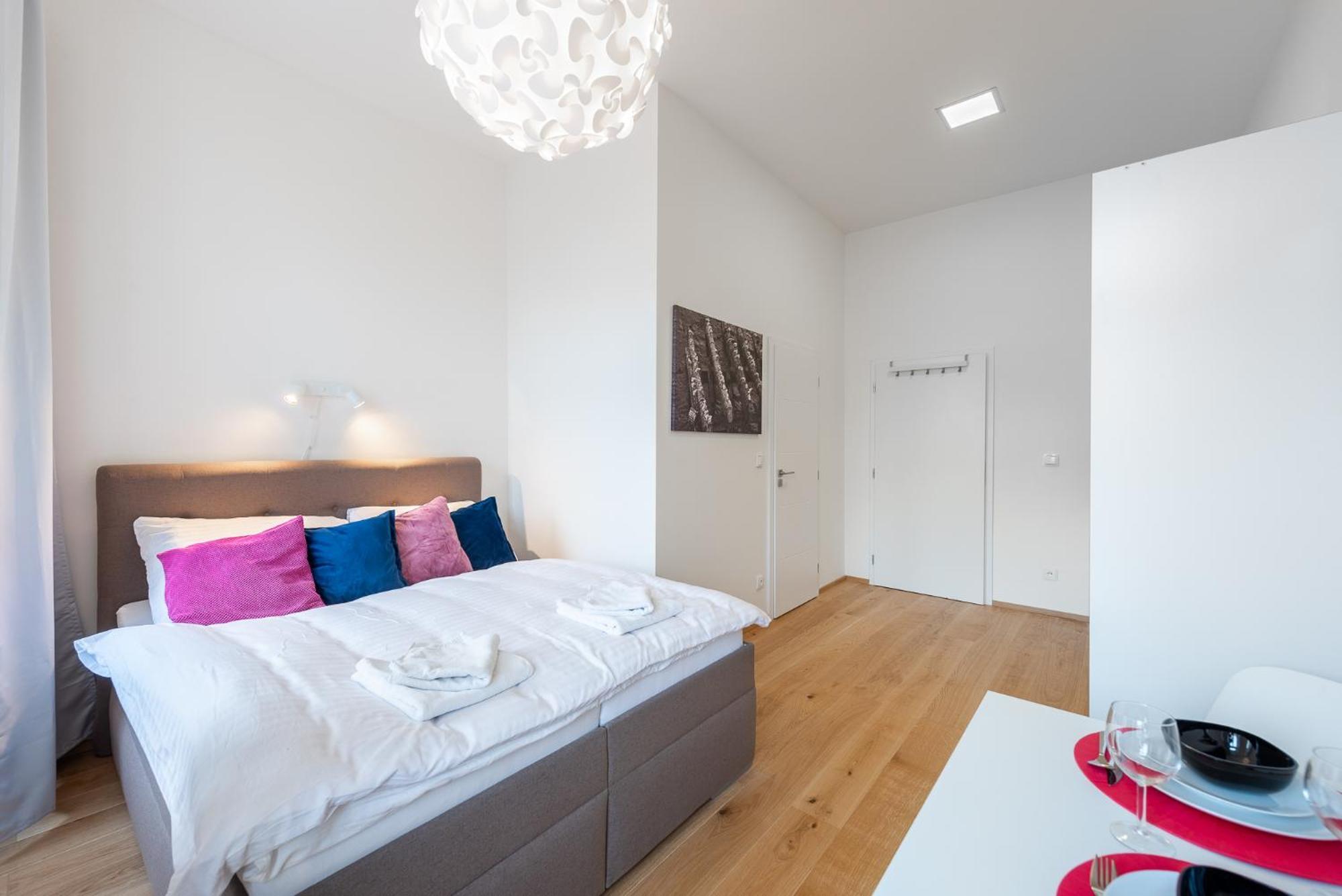 Tesnov Apartment