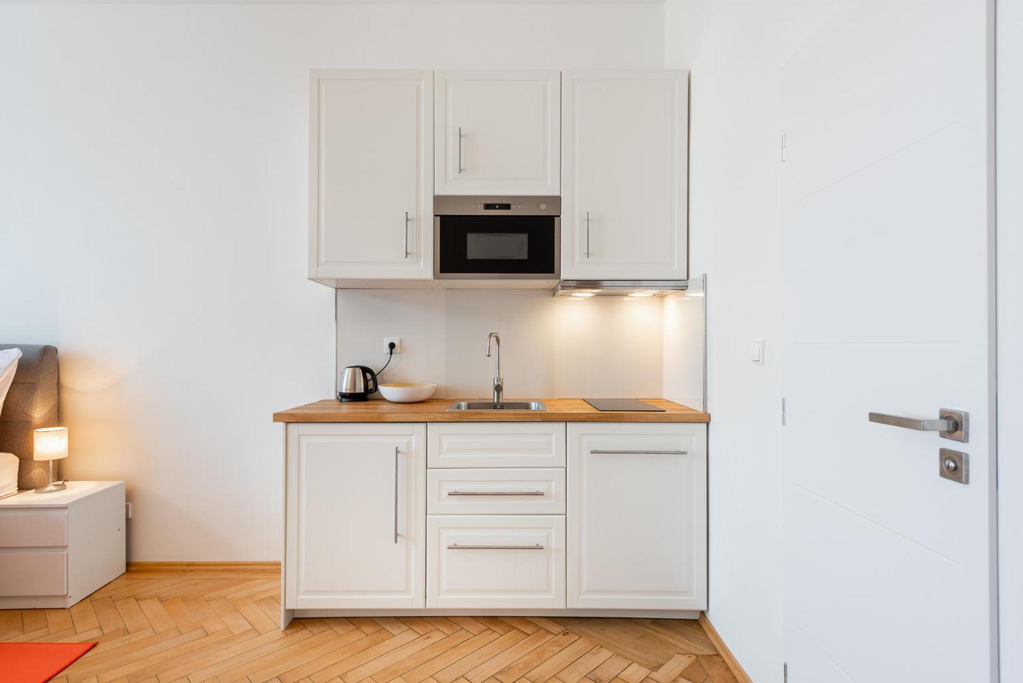 Apartment Tesnov Prag